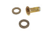 Colony - Fuel Filter Strainer Screen
