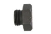 Colony - Parkerized Timing and Oil Tank Plug