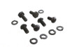Colony - Parkerized Distributor Screws