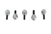 Colony - Acorn Screw Kit