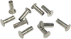Rivets (90967-64) 10Pk