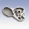 POL. XZOTIC GEN.STYLE CAM B/T 73-92