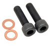 (5)DAMPER TUBE SCREW W/WASHER