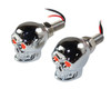 LICENSE SCRWS LIGHTED SKULL R