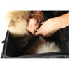 Nelson Rigg #NR-240 - Route 1 Rover Pet Carrier - Black