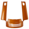 AMBER WHISKEY /REAR FENDER FILLER PANEL FOR TOURING 14UP