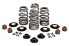 BLACK DIAMOND VALVES FOR BIG TWIN &amp; SPORTSTER