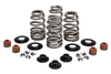 BLACK DIAMOND VALVES FOR BIG TWIN &amp; SPORTSTER