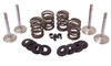 VALVE TRAIN KITS FOR BIG TWIN