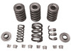 PERFORMANCE VALVE SPRING KITS FOR EVOLUTION MODELS &amp; TWIN CAM