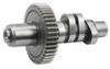 CAMS FOR BIG TWIN EVOLUTION ALL YEARS