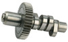CAMS FOR BIG TWIN EVOLUTION ALL YEARS
