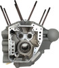S&S Cycle #310-0543A - Crankcase, Assembly, CVO 110, Stock Bolt Pattern, Packaged, Stone Gray, 2007-2016 bt