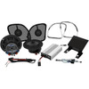 Wild Boar Audio #WBARG KIT.2R - 400 W Amp/Speaker Kit - FLT