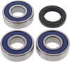 Wheel Bearing and Seals - Rear - XL