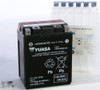 Yuasa #YUAM62H4L - Battery Ytx14ahl-bs Maintenance Free