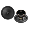 DB Drive WDXPRO7/8.8S - 8" Wide Freq Range-ProAudio mid, 1.5in TIL VC, papercone w/cloth surround, Ferrite