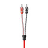 Cerwin Vega RV6 - 6Ft 2-Channel Dual Twisted RCA Cable w/Dual Molded Ends - RV6