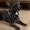 Diamond Audio DABandana24 - Diamond Audio Bandana (Black) - DABANADA24