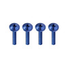 Custom Color Windshield Bolts for Harley® Road Glide '15-'23