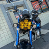 A10 Moto Honda Monkey LP6 + Dual S1 Brackets 127061