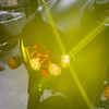 A10 Moto Indian Springfield Baja Designs LP6 Light Bracket Combo Kit