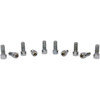 Drag Specialties - Bolts - Socket-Head/Replacement - Smooth/Fine Thread - 5/16"-24 x 3/4" - 10 Pack