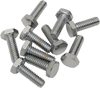 1/4"-20 X 7/8" Chrome Hex Head