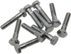 1/4"-20 X 1" Chrome Hex Head