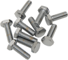 1/4"-20 X 3/4" Chrome Hex Head