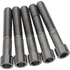 Drag Specialties - Bolts - Socket-Head/Replacement - Smooth/Coarse Thread - 7/16"-14 x 2-1/2" - 5 Pack