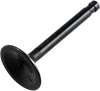 Exhaust Valve