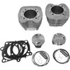 Revolution Performance, LLC #RP201-110W - Cylinder Kit - 98" - Big Bore - Natural Silver - Twin Cam