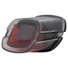 hw_307112_clear_uproar_led_tail_light_w_plate_light_2.jpg