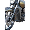 Klock Werks #KWS-04-0321 - Outrider Radiator Guard - Natural - Indian Scout