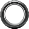 Dunlop Tire - Sportmax Roadsmart IV - Front - 120/70ZR19 - (60W)