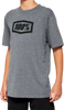 Youth Icon T-Shirt - Gray - Small - Lutzka's Garage