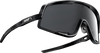 Glendale Sunglasses - Black - Smoke - Lutzka's Garage