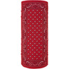 ZAN Headgear #T106 - Motley Tube® - Red Paisley
