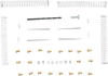 Dynojet Jet Kit - Stage 1 - Suzuki (#3158)