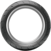 Dunlop Tire - Sportmax Roadsmart III - Rear - 190/55ZR17 - (75W)