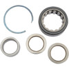 Eastern Motorcycle Parts #A-24004-03 - Bearing Kit with Washers and Race - Big Twin