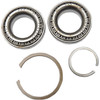 Eastern Motorcycle Parts #A-24729-74A - Bearing Assembly Sprocket Shaft - Timken - '77-'03 Sportster