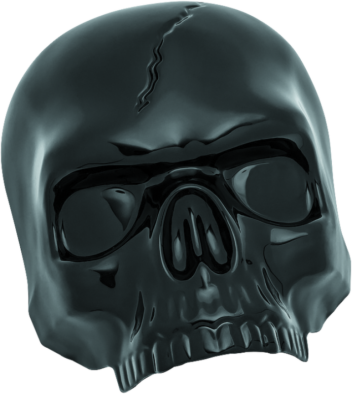 Kuryakyn #5731 - Skull Horn Cover Black