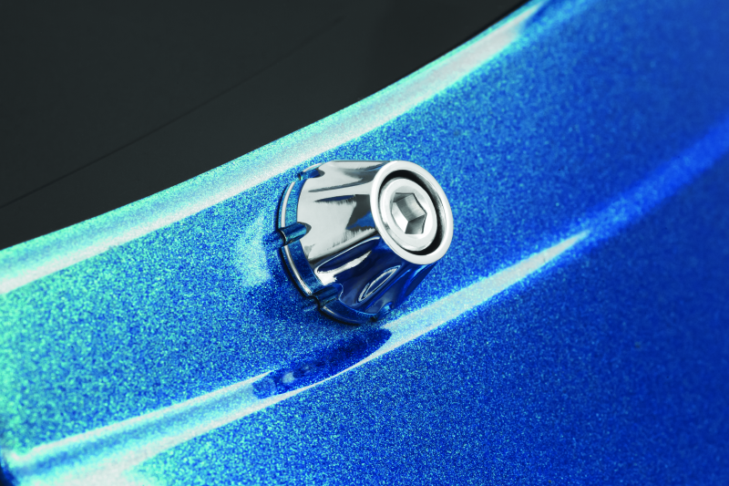 Kuryakyn #5721 - Windshield Screws FLTR Chrome