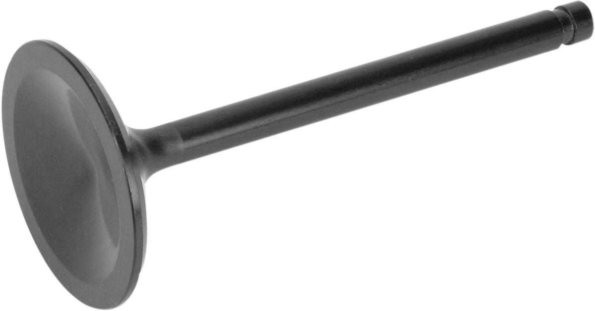 Intake Valve Evolution