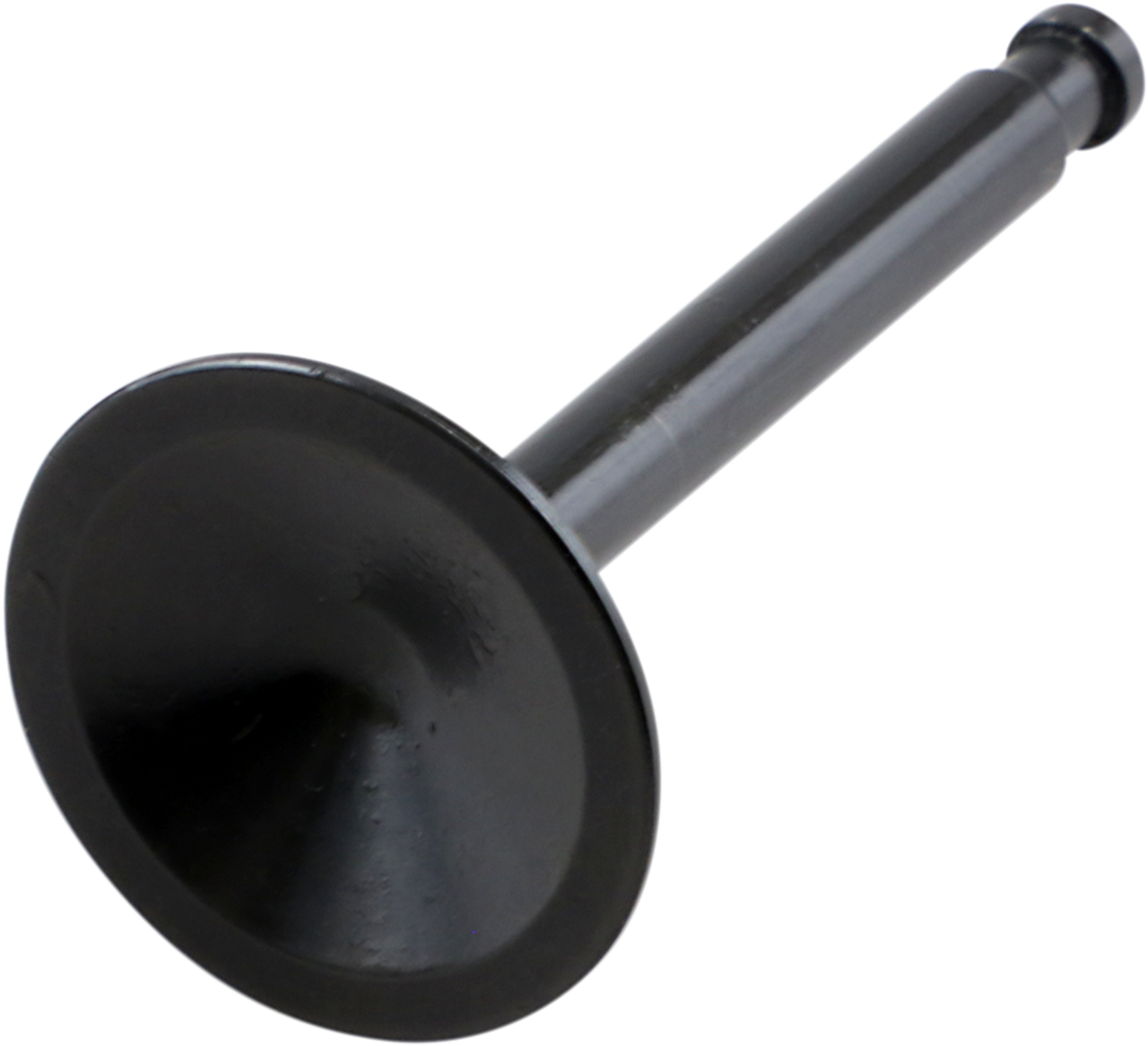 Exhaust Valve