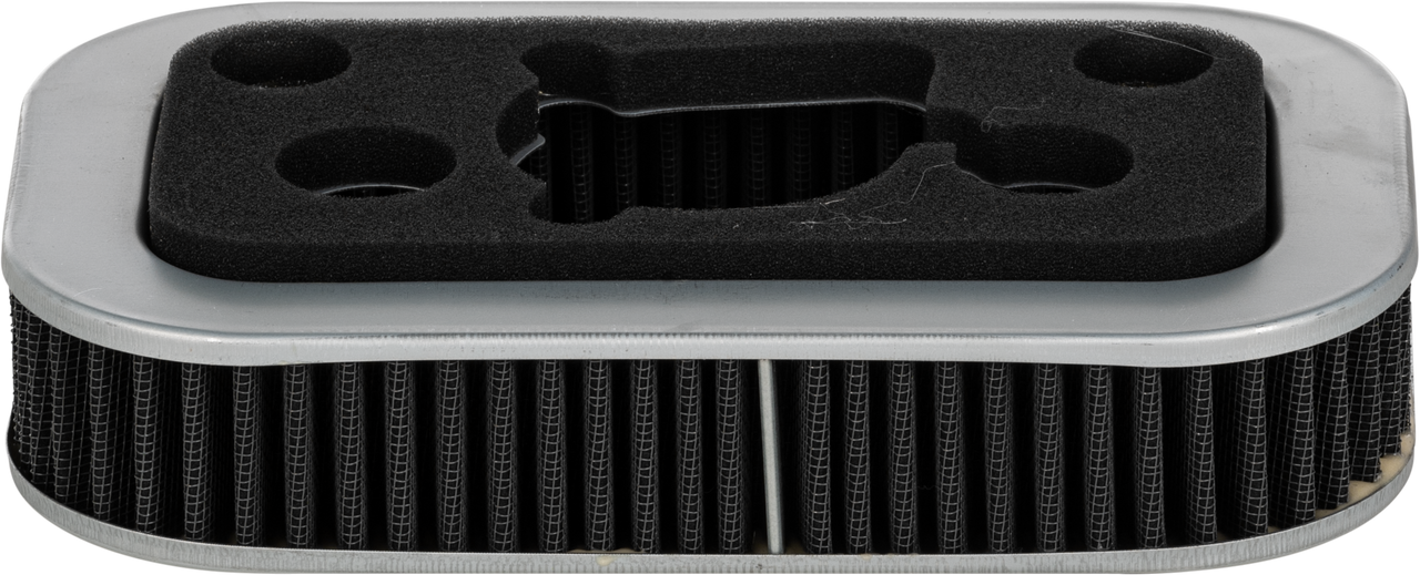 Harddrive Performance Air Filter Repl Oem 29331-96/29036-88b