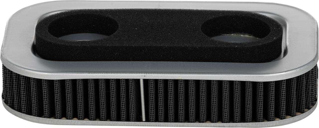 Harddrive Performance Air Filter Repl Oem 29331-96/29036-88b