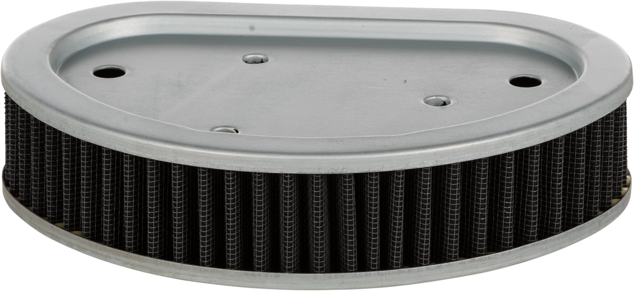 Harddrive Performance Air Filter Repl Oem 29191-08